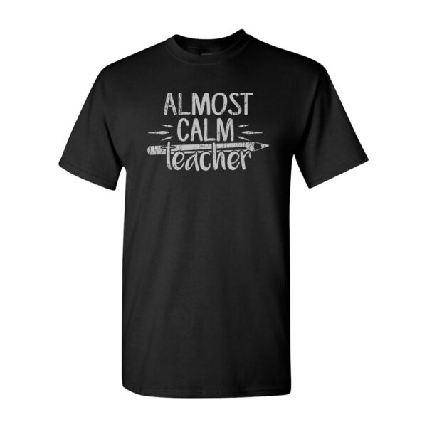 Almost Calm Teacher - Image 2